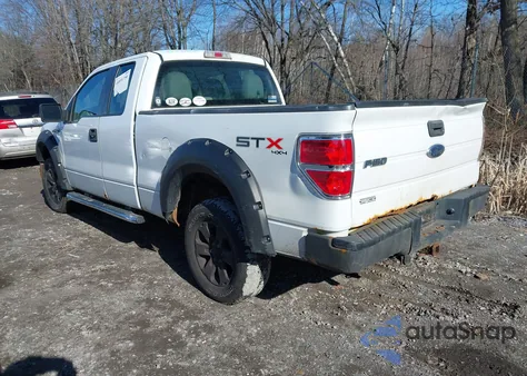 2010 Ford F-150 Stx/Xl z USA, uszkodzony, nr VIN 1FTEX1EW4AFB77847